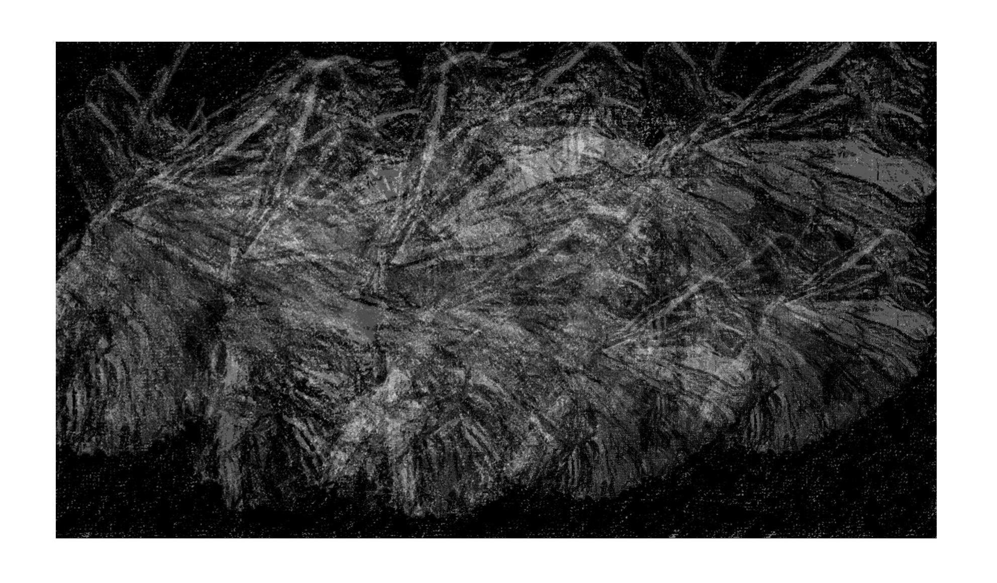 Neuronal Futures Series
