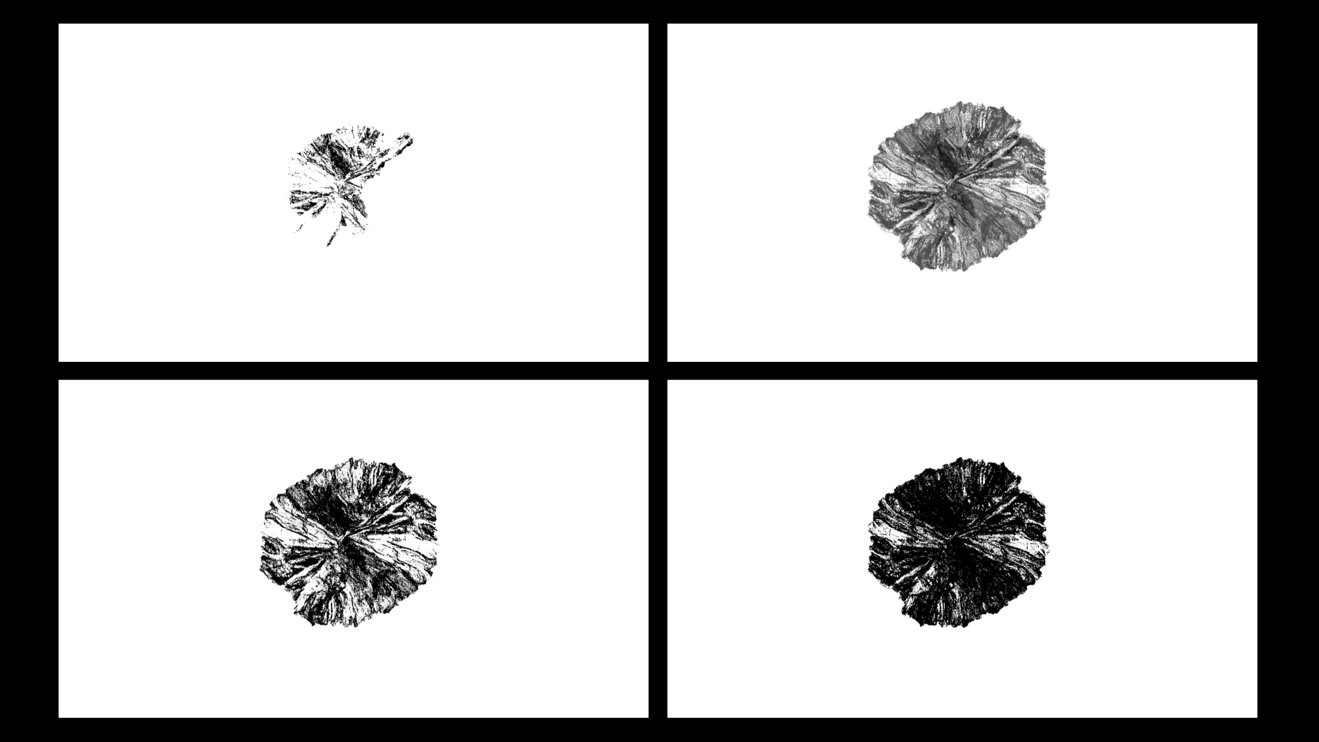 Neuronal Futures Series